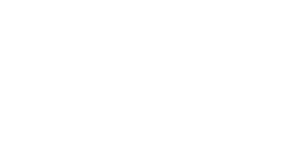 Department of Social Services logo